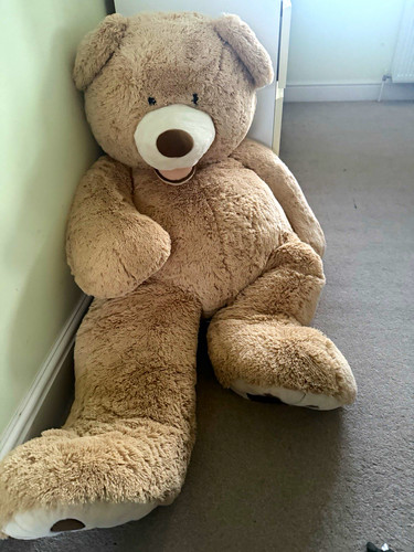 Large beige plush - large, bear