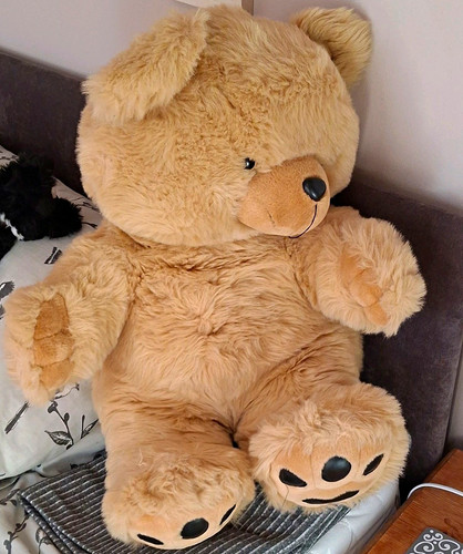 Large beige plush teddy - large,