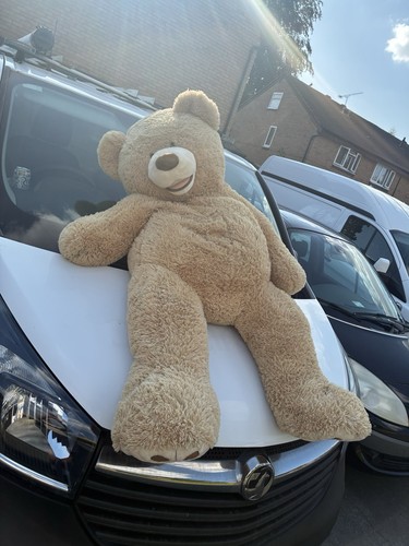 Giant teddy bear - giant,