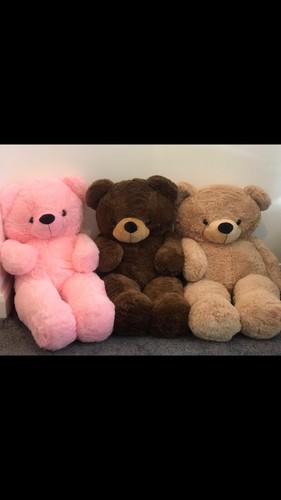 Giant teddy bear - teddy,