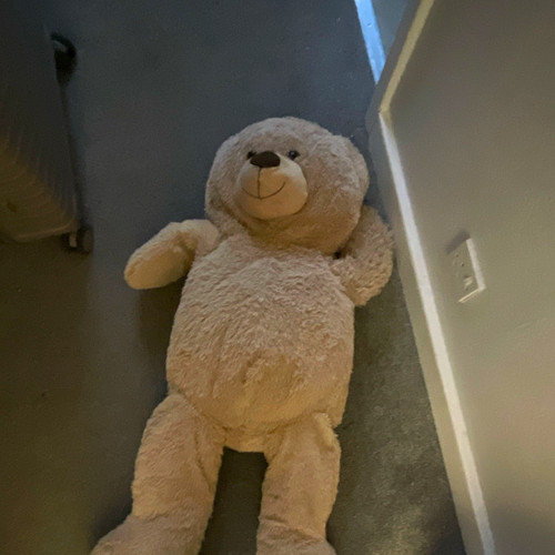 Large beige plush teddy - beige,