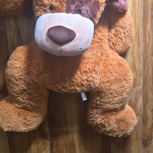 Large brown plush teddy - brown,