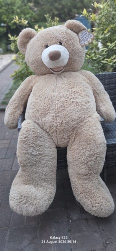 Large teddy bear plush - teddy, bear,