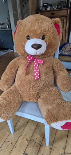 Giant teddy bear - teddy,