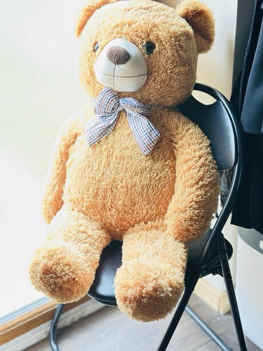 Ikasa giant teddy bear - teddy,