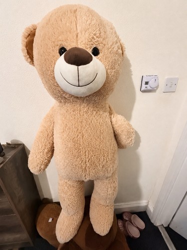 Large giant teddy bear - large,