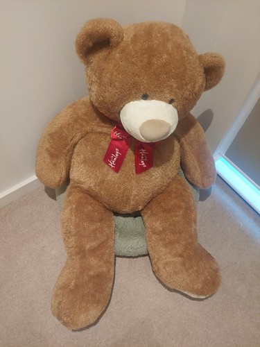 Giant teddy bear plush - bear, 140cm