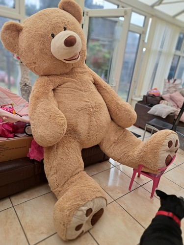 Giant teddy bear 8ft - bear, huge