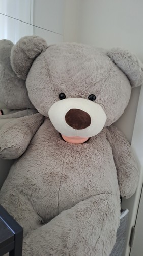 Giant human size teddy - size, bear