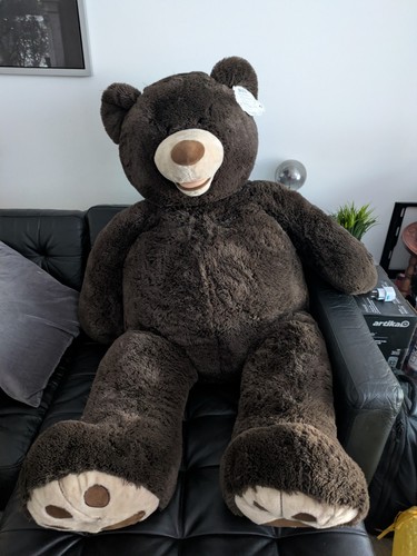 Costco jumbo brown - brown, bear