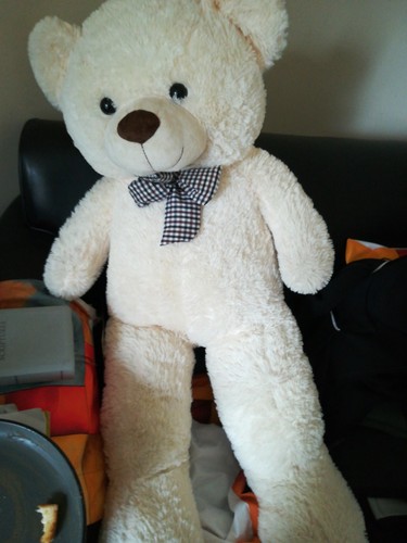 White teddy bear - bear, toy