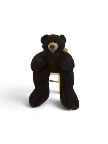 Giant teddy bear - teddy, large