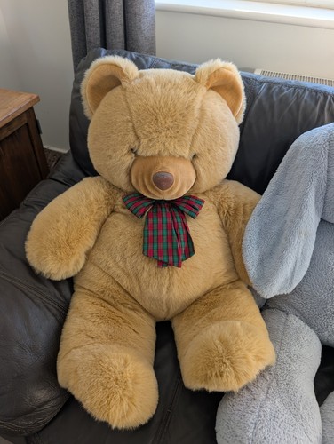 Huge giant cuddly teddy - huge,